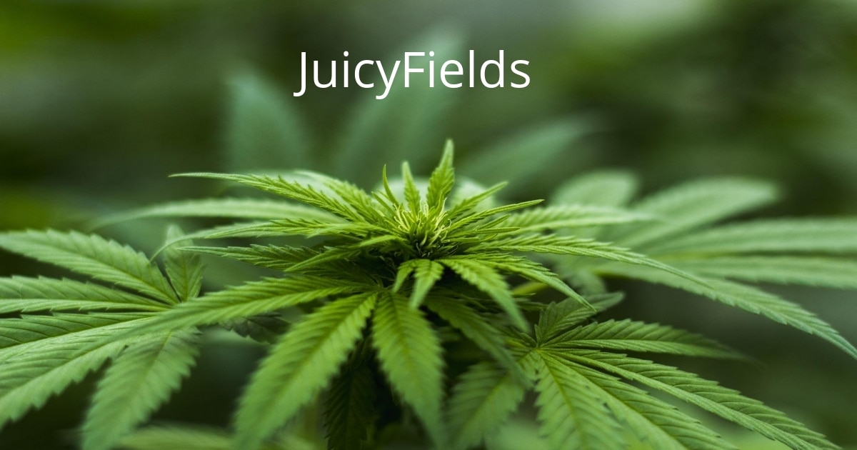 JuicyFields